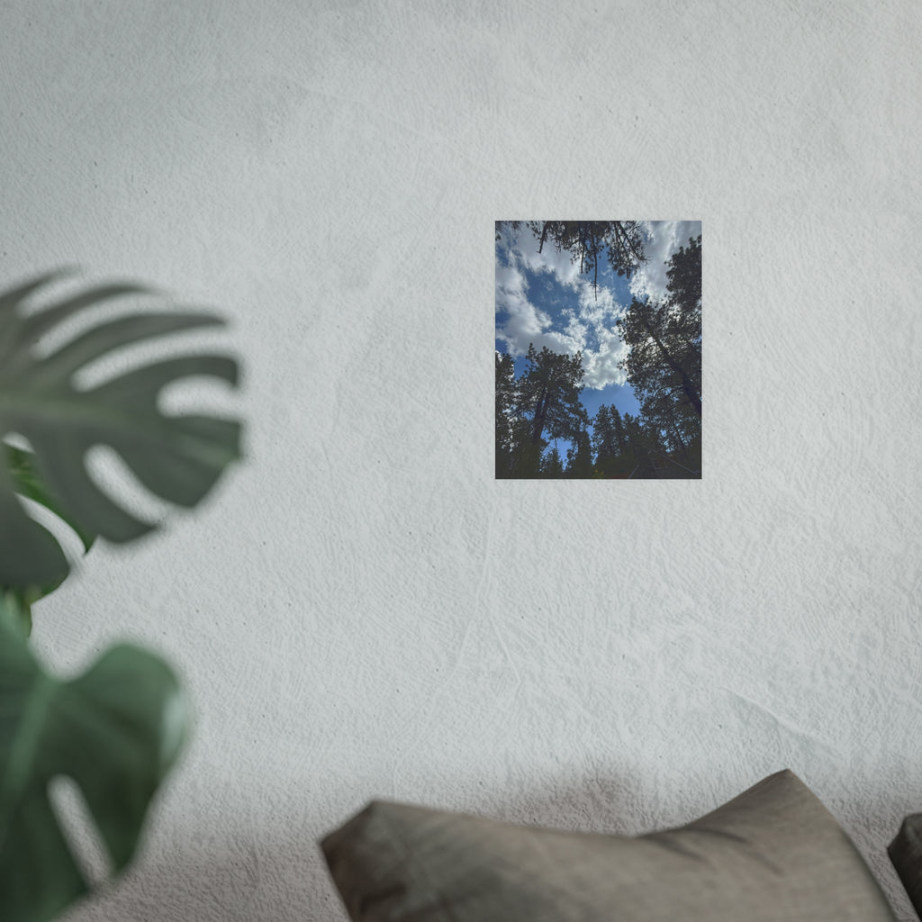 Wrightwood Sky Through the Trees | Nature Photography Poster