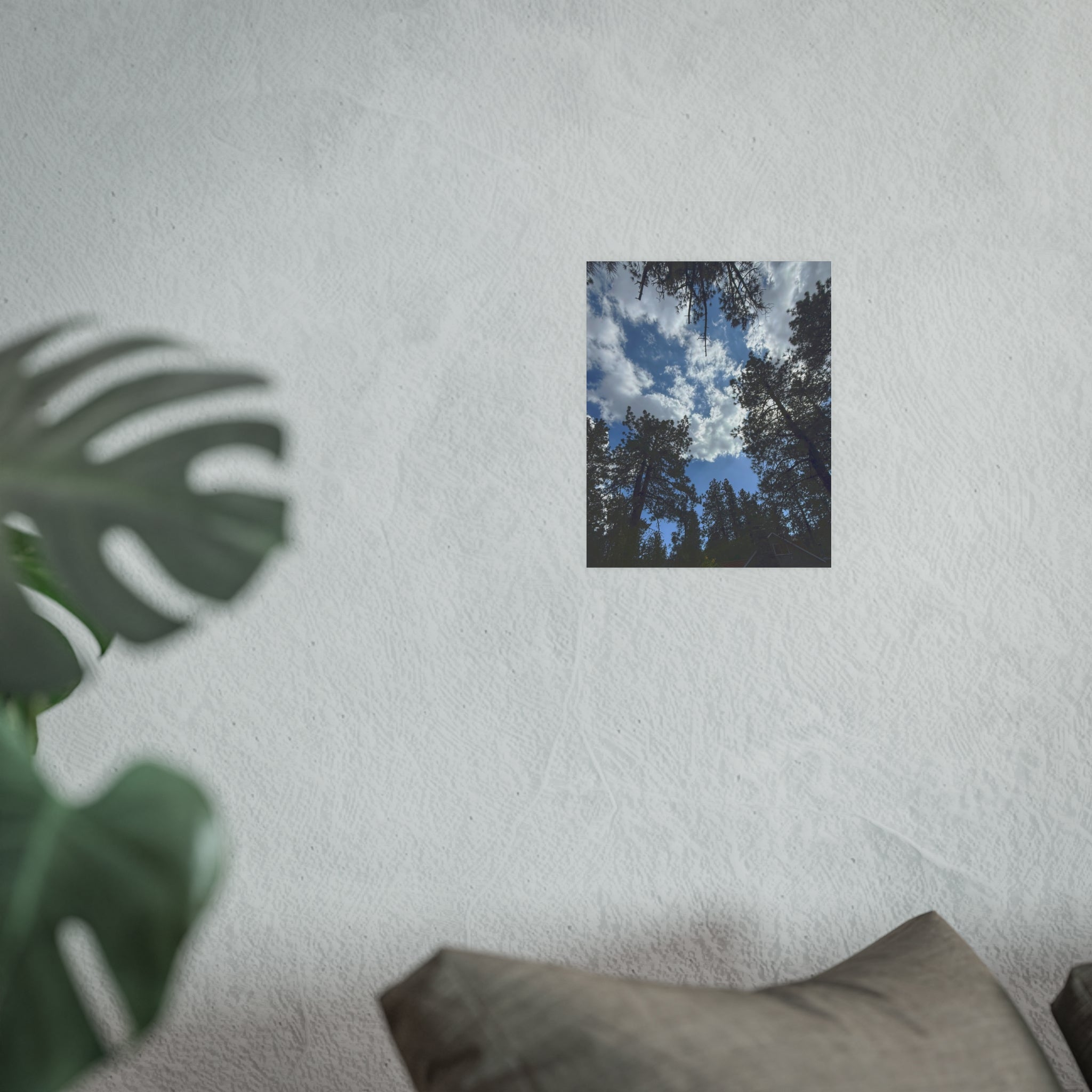 Wrightwood Sky Through the Trees | Nature Photography Poster