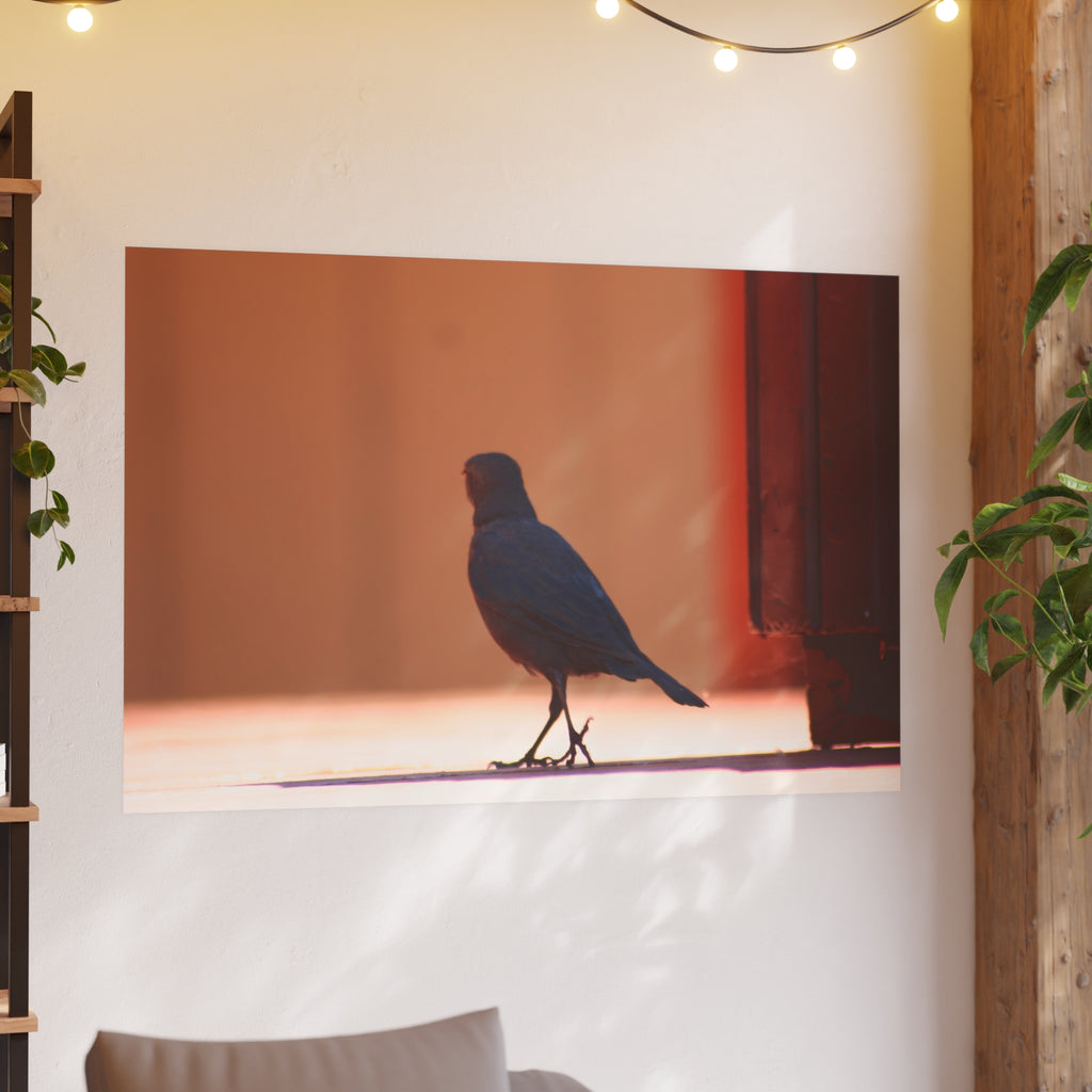 Walking Bird at Lake Tahoe | Wildlife Photography Print | Bird Wall Art | Nature Decor | Fine Art Photograph
