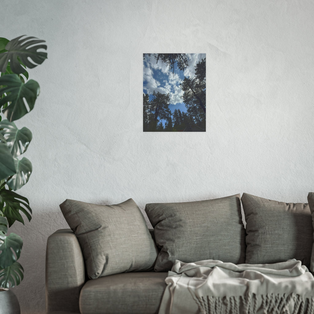 Wrightwood Sky Through the Trees | Nature Photography Poster