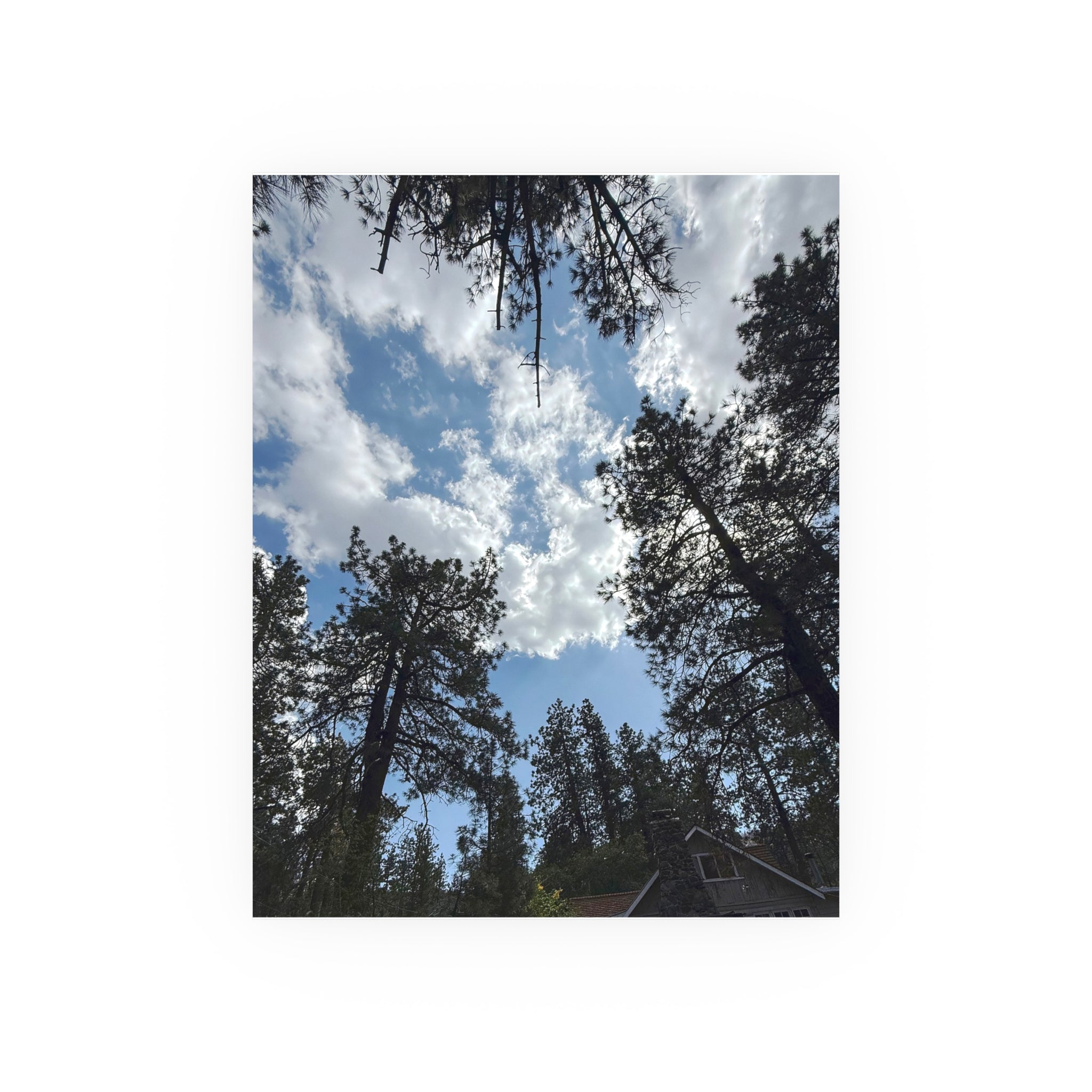 Wrightwood Sky Through the Trees | Nature Photography Poster