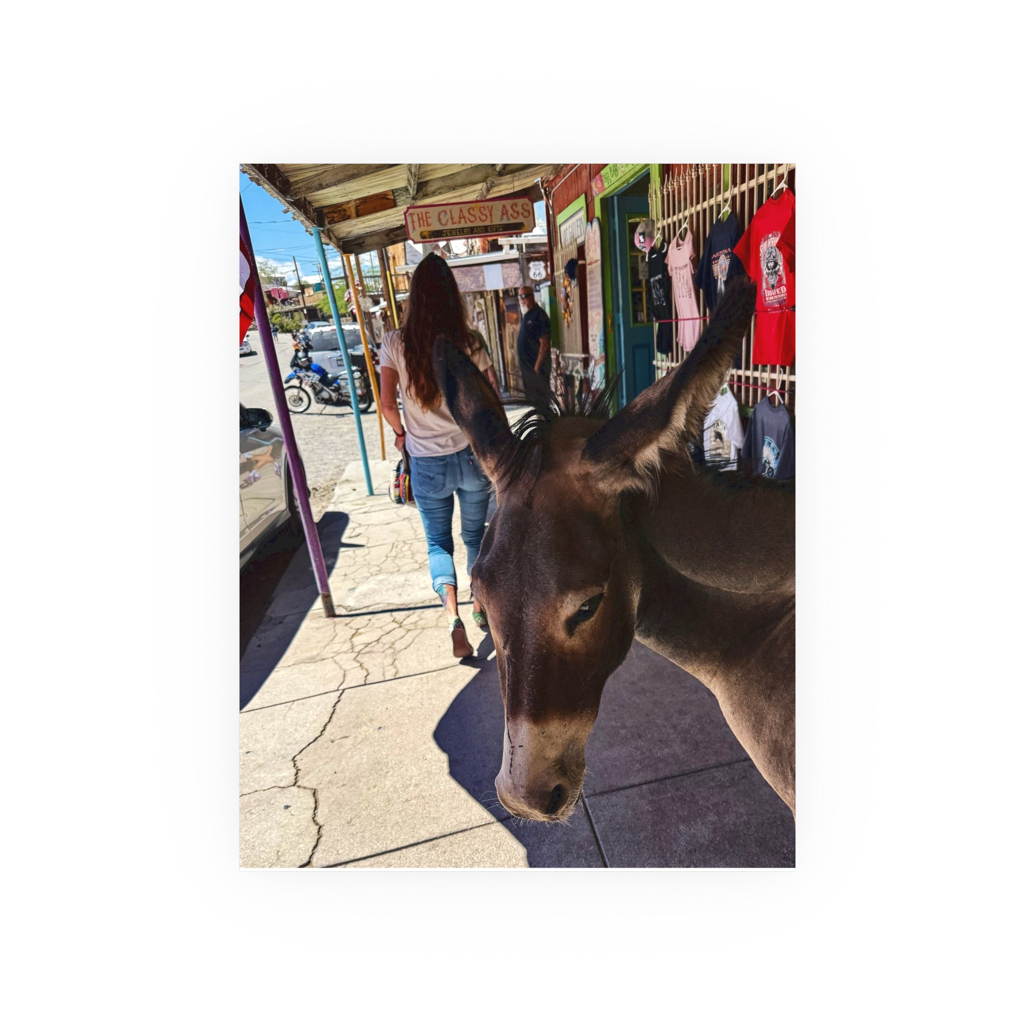 The Classy Ass - Diego the burro - Oatman Arizona Photography | Rustic Street Photography, Funny Animal Photo Print