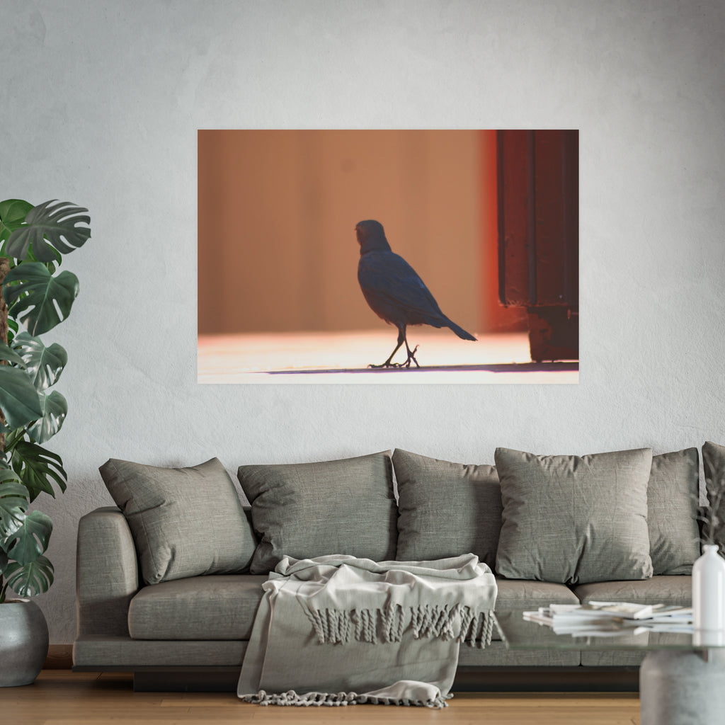 Walking Bird at Lake Tahoe | Wildlife Photography Print | Bird Wall Art | Nature Decor | Fine Art Photograph