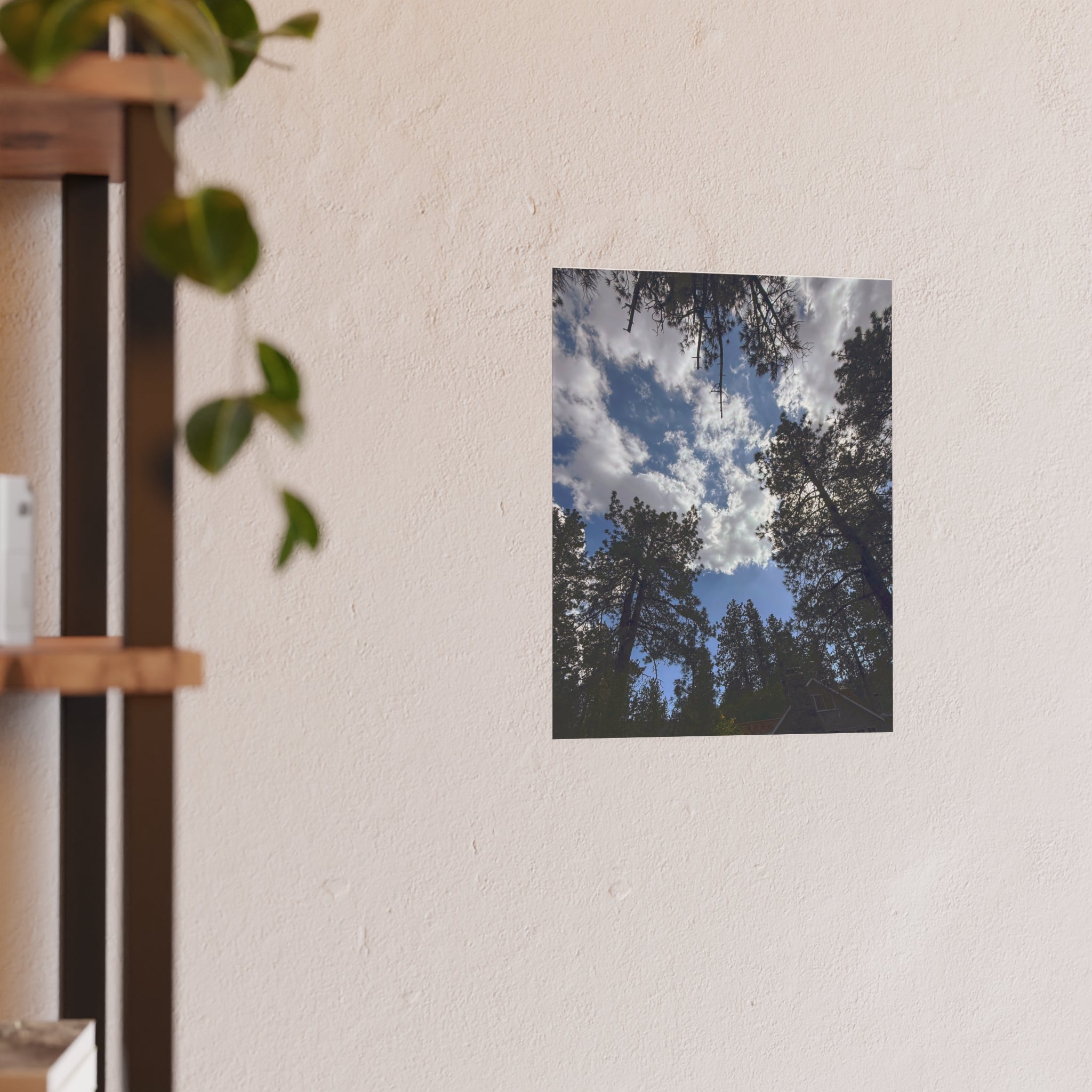 Wrightwood Sky Through the Trees | Nature Photography Poster