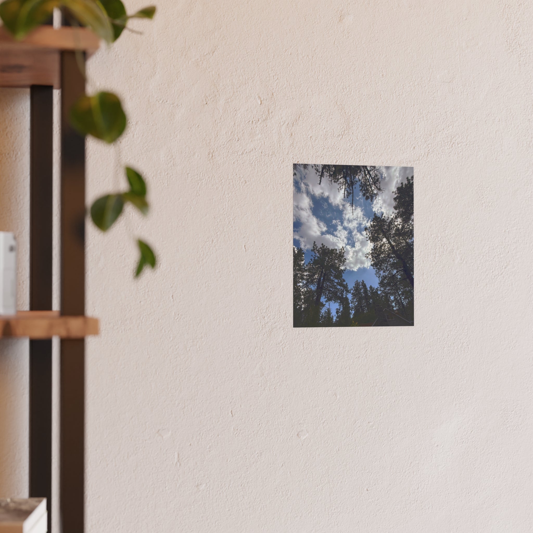 Wrightwood Sky Through the Trees | Nature Photography Poster