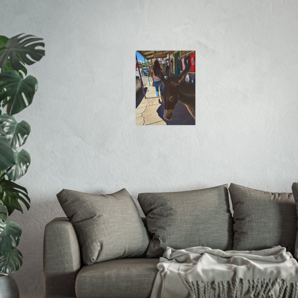 The Classy Ass - Diego the burro - Oatman Arizona Photography | Rustic Street Photography, Funny Animal Photo Print