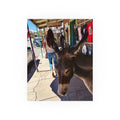 The Classy Ass - Diego the burro - Oatman Arizona Photography | Rustic Street Photography, Funny Animal Photo Print
