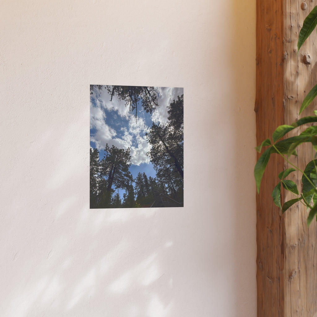 Wrightwood Sky Through the Trees | Nature Photography Poster