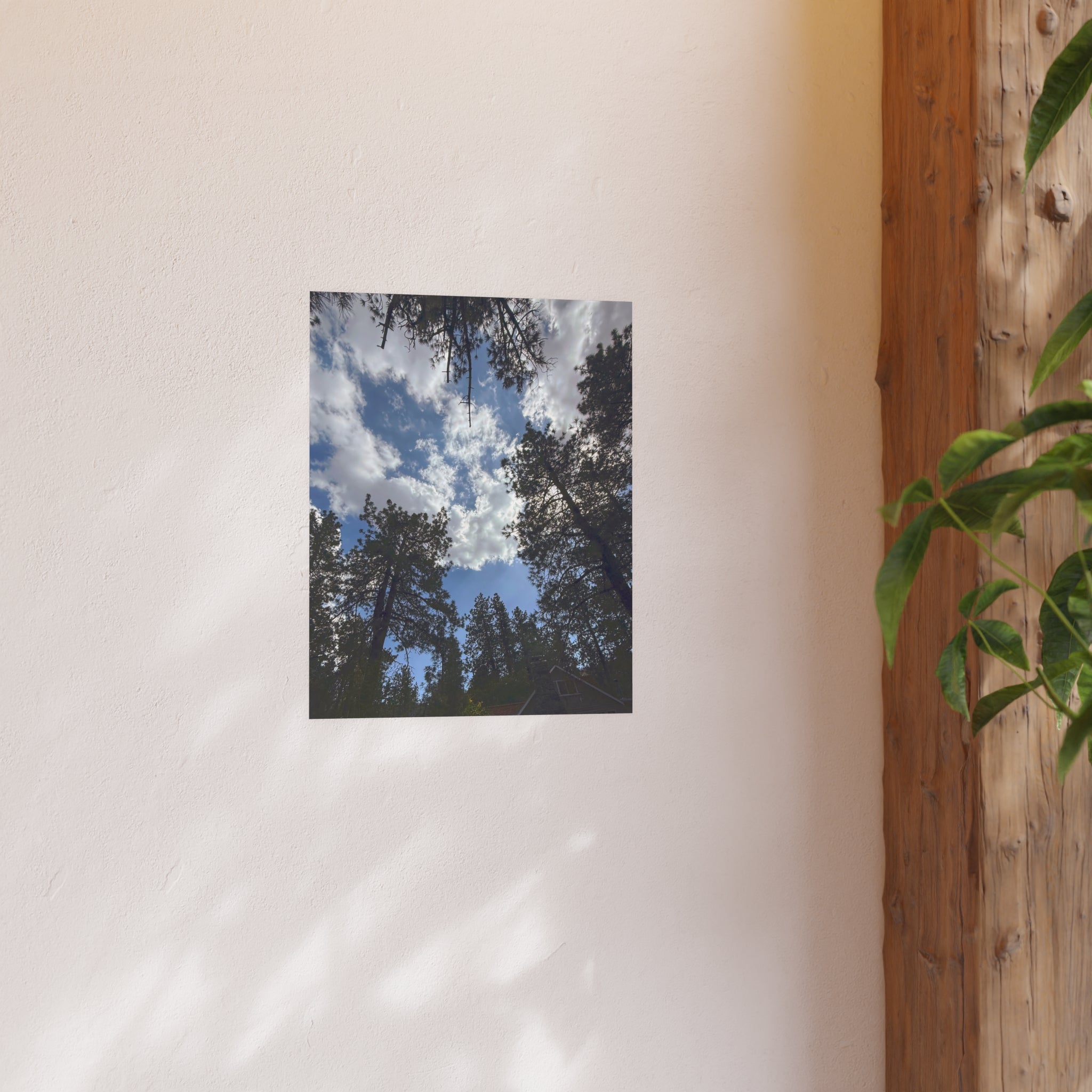 Wrightwood Sky Through the Trees | Nature Photography Poster