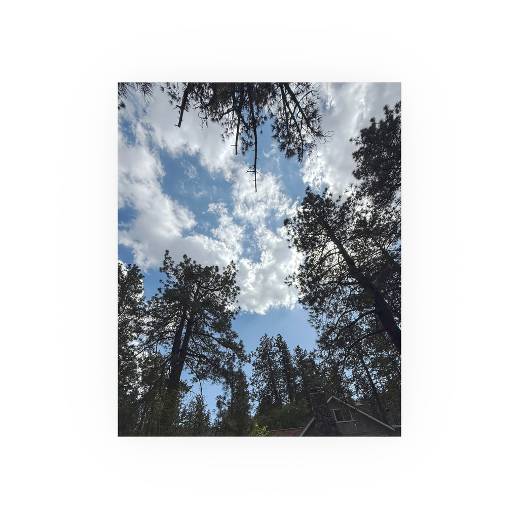 Wrightwood Sky Through the Trees | Nature Photography Poster