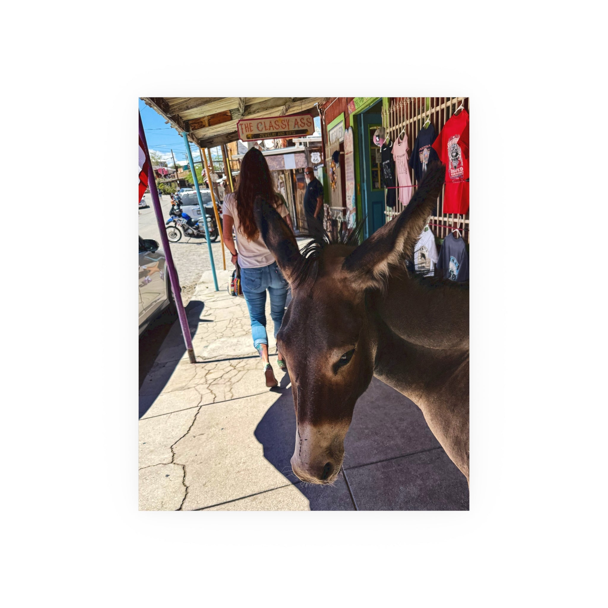 The Classy Ass - Diego the burro - Oatman Arizona Photography | Rustic Street Photography, Funny Animal Photo Print
