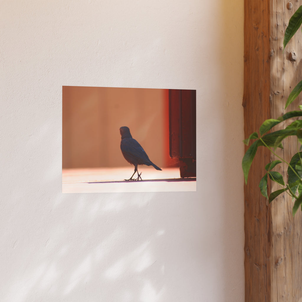 Walking Bird at Lake Tahoe | Wildlife Photography Print | Bird Wall Art | Nature Decor | Fine Art Photograph